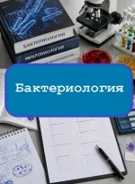 Бактериология (среднее) — тесты с ответами